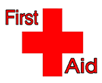 First Aid for Dog Bite Injury